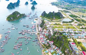 Giá đất huyện vân đồn hôm nay