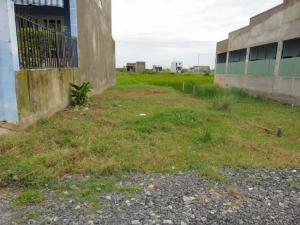 Diện tích đất thổ cư tối đa khi làm sổ đỏ là bao nhiêu