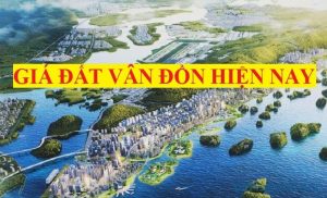 Bảng giá đất Vân Đồn hiện nay
